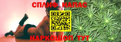 крисы Малоярославец