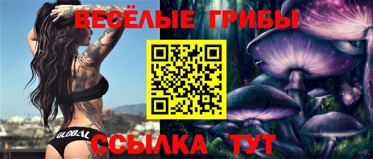 Галлюциногенные грибы прущие грибы Балтийск