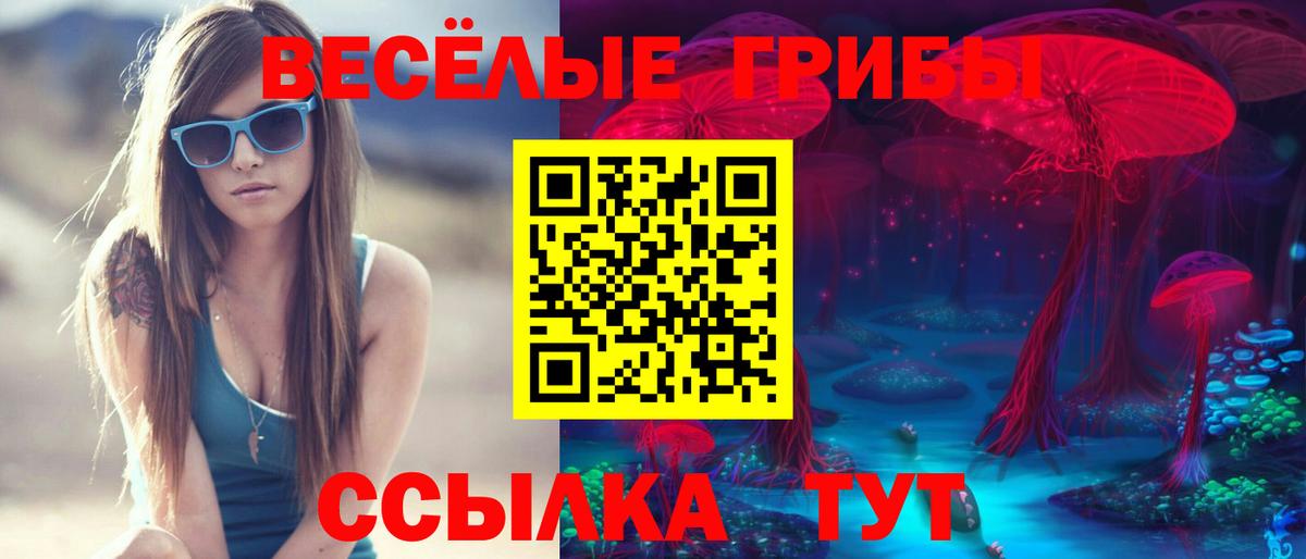 Псилоцибиновые грибы Psilocybine cubensis  Вход с VPN  Балтийск 